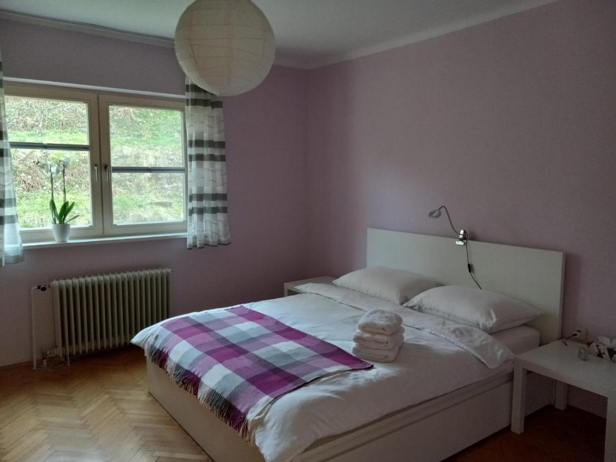 Lovely 2-Bedroom Appartment With Free Parking Dobrova 외부 사진
